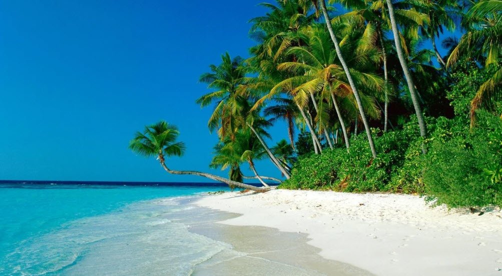 Newell Beach, Australia